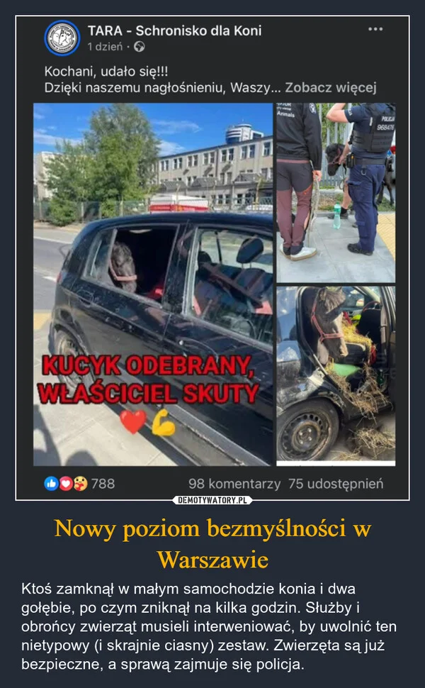 
    Nowy poziom bezmyślności w Warszawie