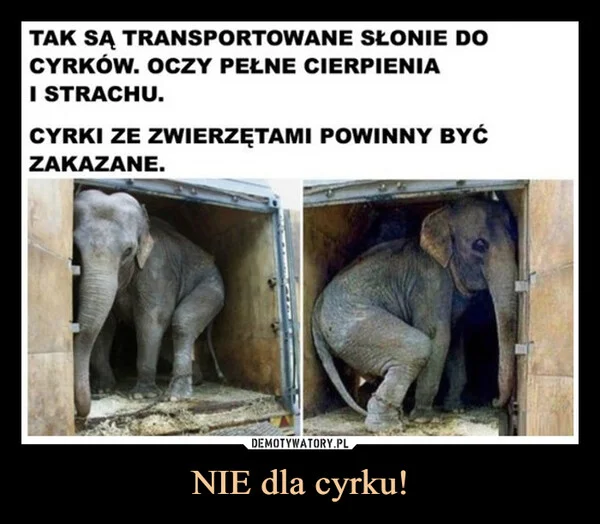 
    NIE dla cyrku!