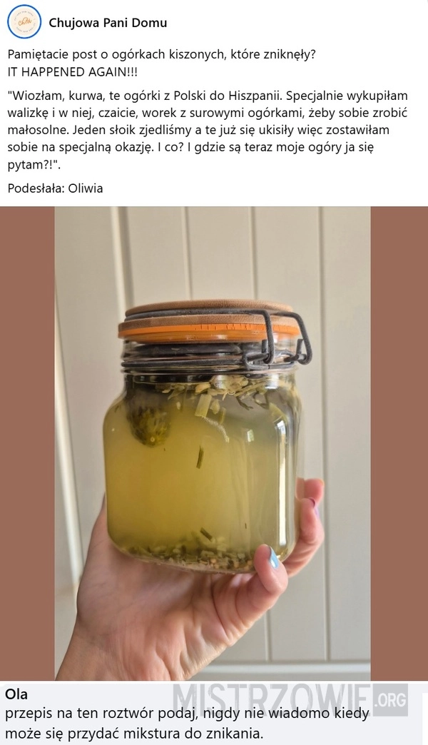 
    Ogórki