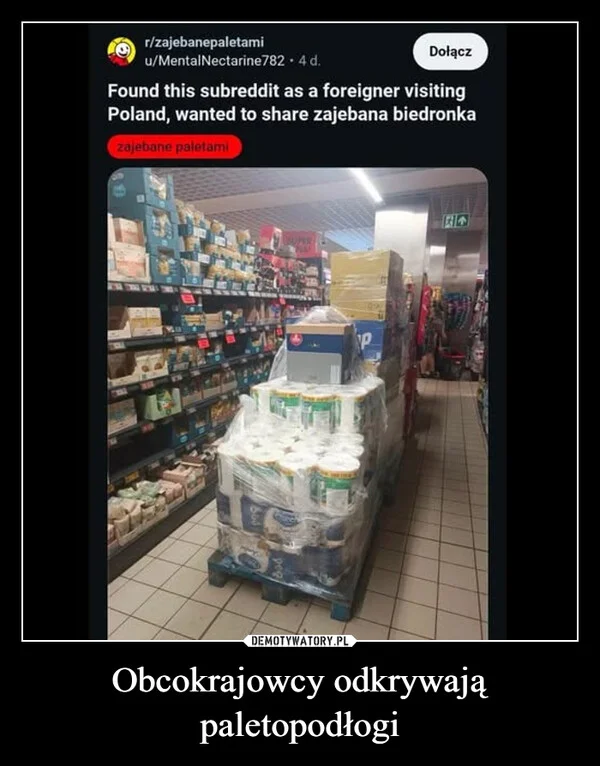 Obcokrajowcy odkrywają paletopodłogi