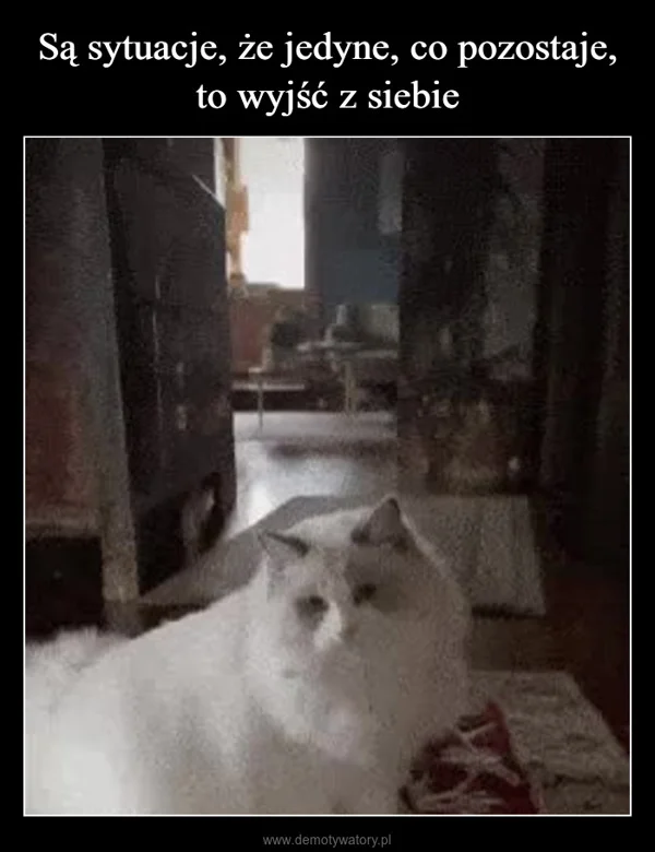 
    Są sytuacje, że jedyne, co pozostaje, to wyjść z siebie