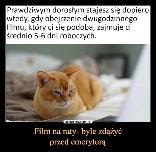 
    Film na raty- byle zdążyć przed emeryturą