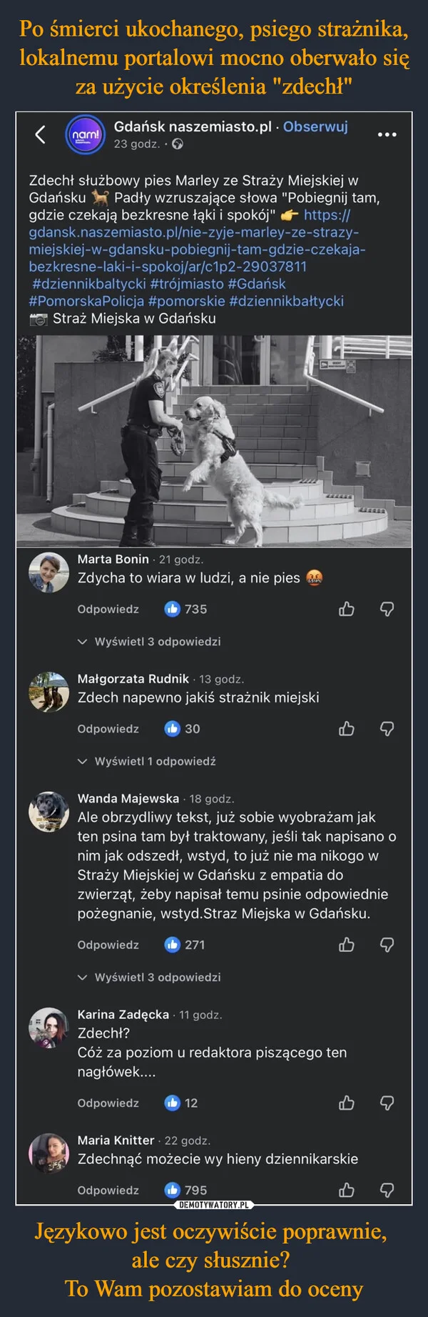 
    Po śmierci ukochanego, psiego strażnika, lokalnemu portalowi mocno oberwało się za użycie określenia 