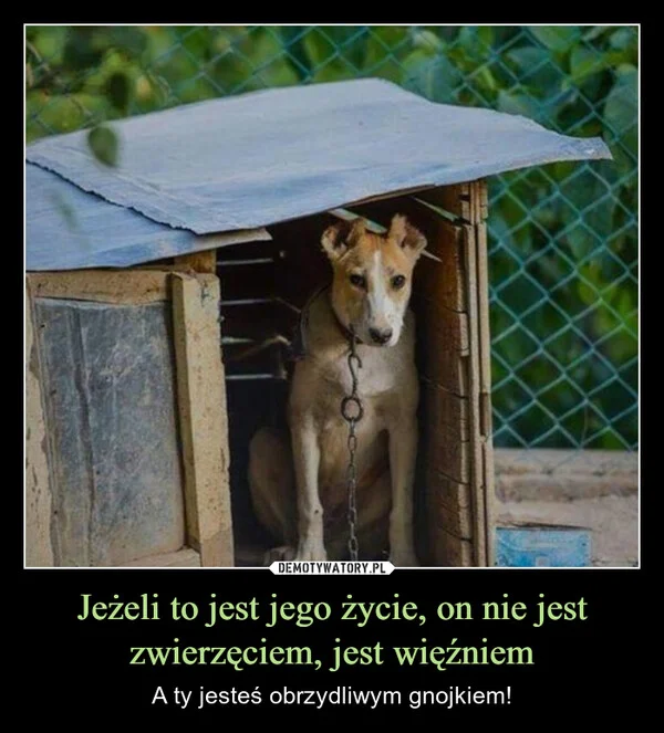 
    Jeżeli to jest jego życie, on nie jest zwierzęciem, jest więźniem