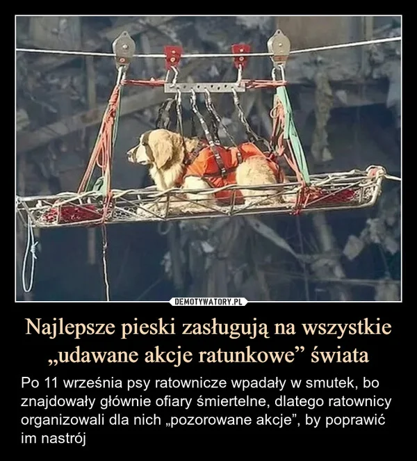 
    Najlepsze pieski zasługują na wszystkie „udawane akcje ratunkowe” świata