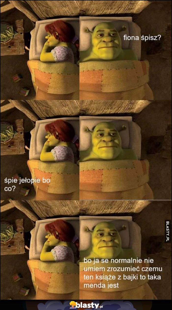 
    Shrek: Fiona śpisz? Śpie jełobie bo co? Bo ja se normalnie nie umiem zrozumieć czemu ten książę z bajki to taka menda jest