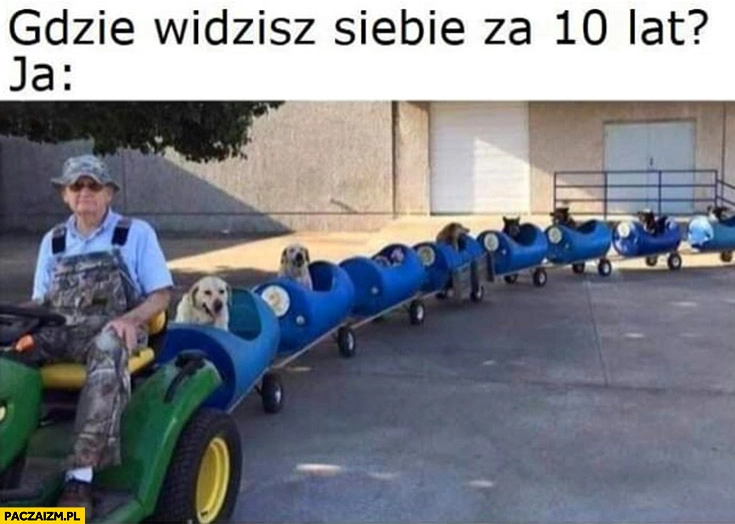 
    Gdzie widzisz siebie za 10 lat ja zaprzęg psów ciuchcia pociąg