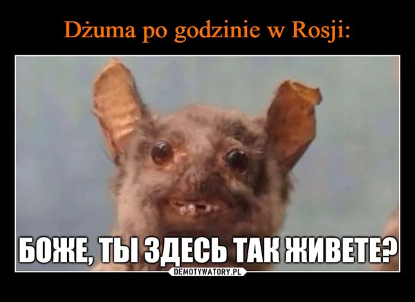 Dżuma po godzinie w Rosji: