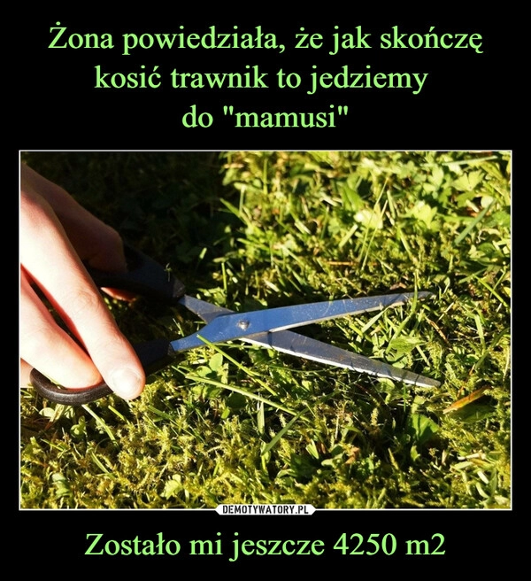 
    Żona powiedziała, że jak skończę kosić trawnik to jedziemy 
do "mamusi" Zostało mi jeszcze 4250 m2