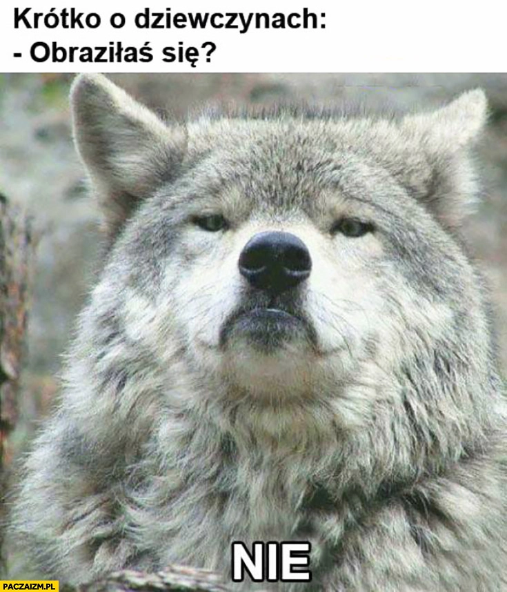 Krótko o dziewczynach: obraziłaś się? Nie. Zły pies wilk