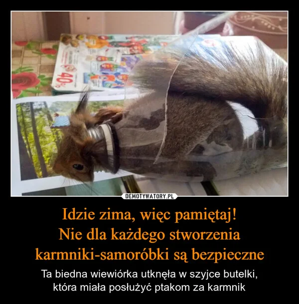 
    Idzie zima, więc pamiętaj! Nie dla każdego stworzenia karmniki-samoróbki są bezpieczne