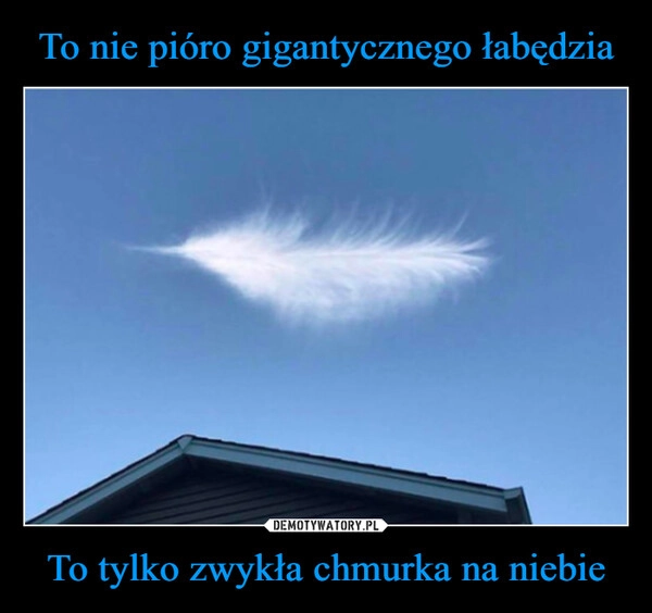 
    To nie pióro gigantycznego łabędzia To tylko zwykła chmurka na niebie