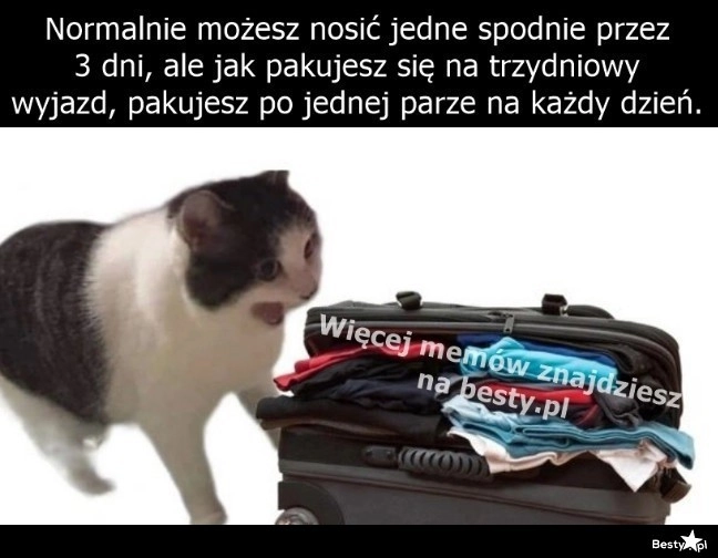 
    Tak na wszelki wypadek 