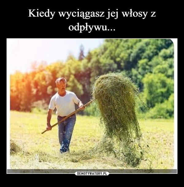 
    Kiedy wyciągasz jej włosy z odpływu...