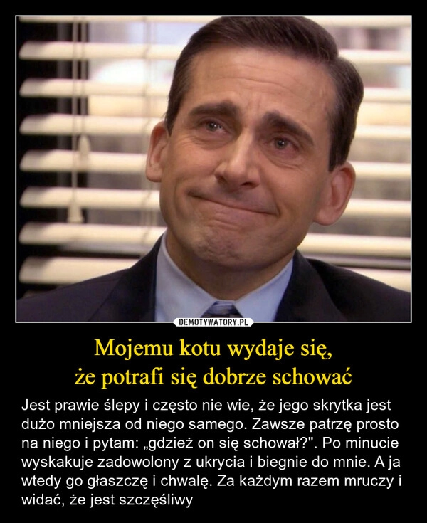 
    Mojemu kotu wydaje się,
że potrafi się dobrze schować