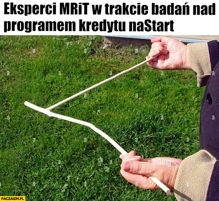 
    Eksperci MRiT w trakcie badań nad programem kredytu na start kijek patyk