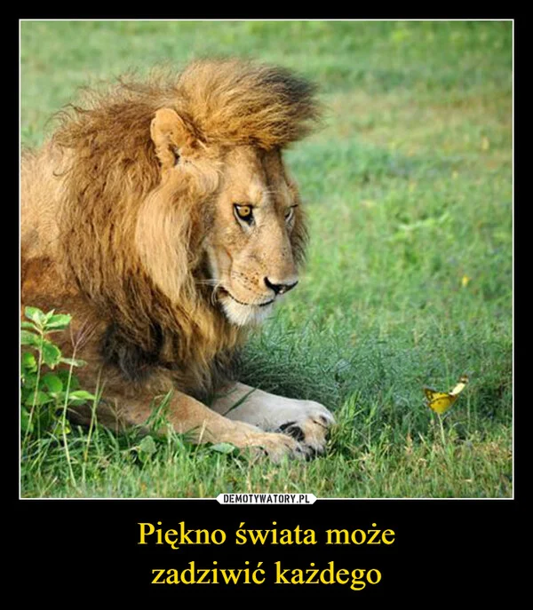 Piękno świata może zadziwić każdego