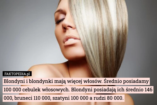 
    Blondyni i blondynki mają więcej włosów. Średnio posiadamy 100 000 cebulek