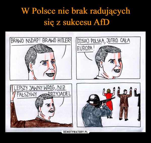 W Polsce nie brak radujących się z sukcesu AfD