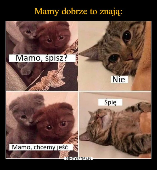 
    Mamy dobrze to znają: