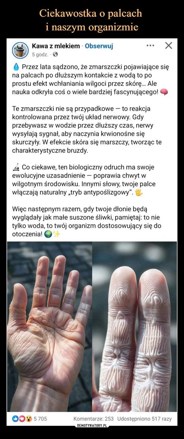 
    Ciekawostka o palcach i naszym organizmie