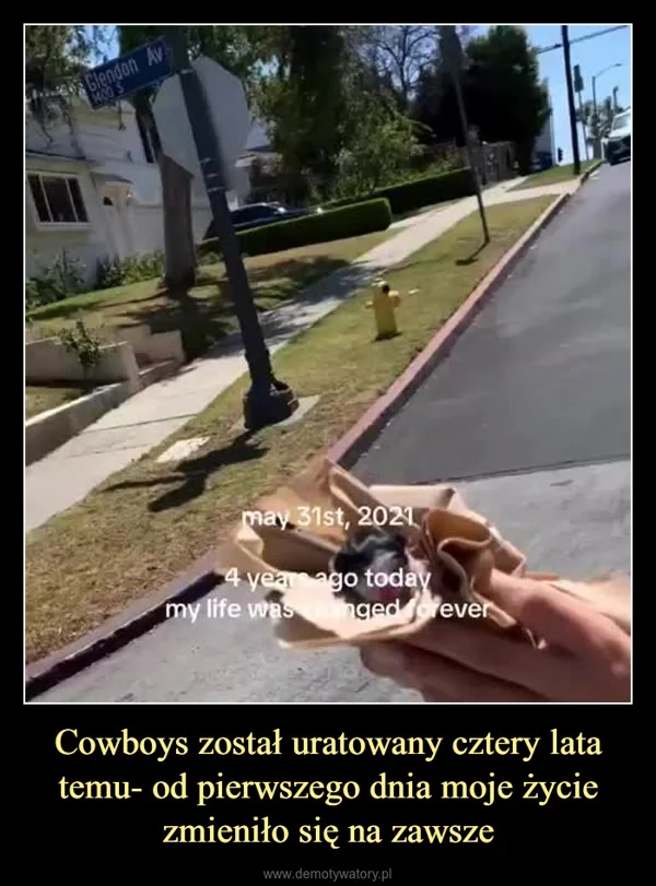 
    Cowboys został uratowany cztery lata temu- od pierwszego dnia moje życie zmieniło się na zawsze
