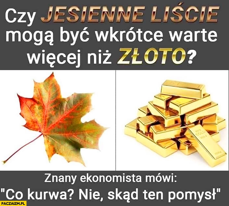 
    Czy jesienne liście mogą być wkrótce warte więcej niż złoto? Znany ekonomista mówi: co kurna nie skąd ten pomysł?