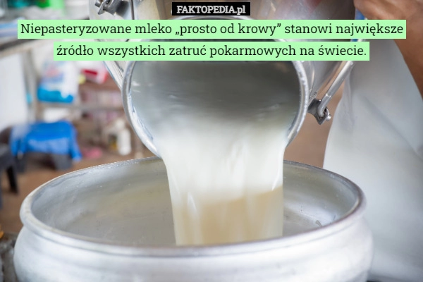 
    Niepasteryzowane mleko „prosto od krowy” stanowi największe źródło wszystkich