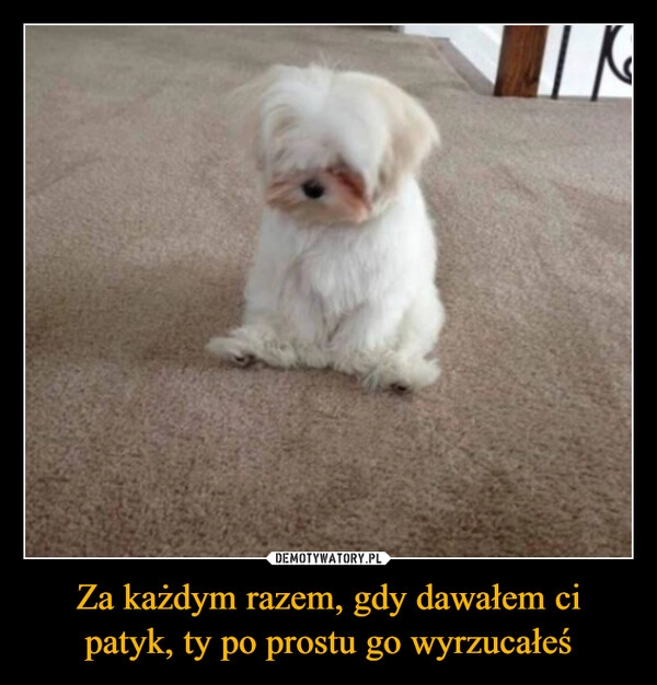 
    Za każdym razem, gdy dawałem ci patyk, ty po prostu go wyrzucałeś