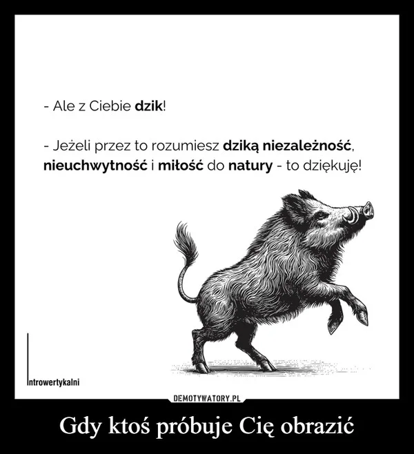 
    Gdy ktoś próbuje Cię obrazić