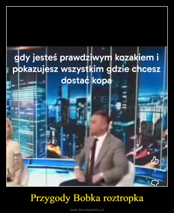 
    Przygody Bobka roztropka