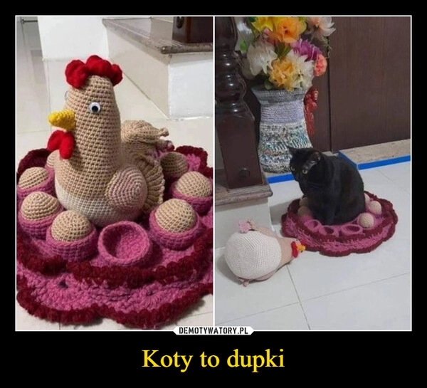 
    Koty to dupki