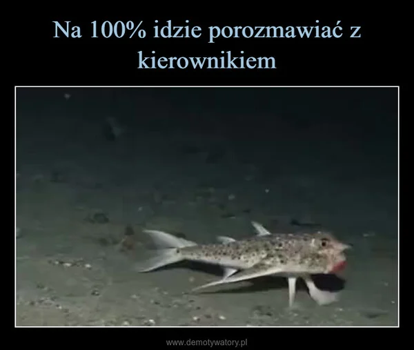 
    Na 100% idzie porozmawiać z kierownikiem
