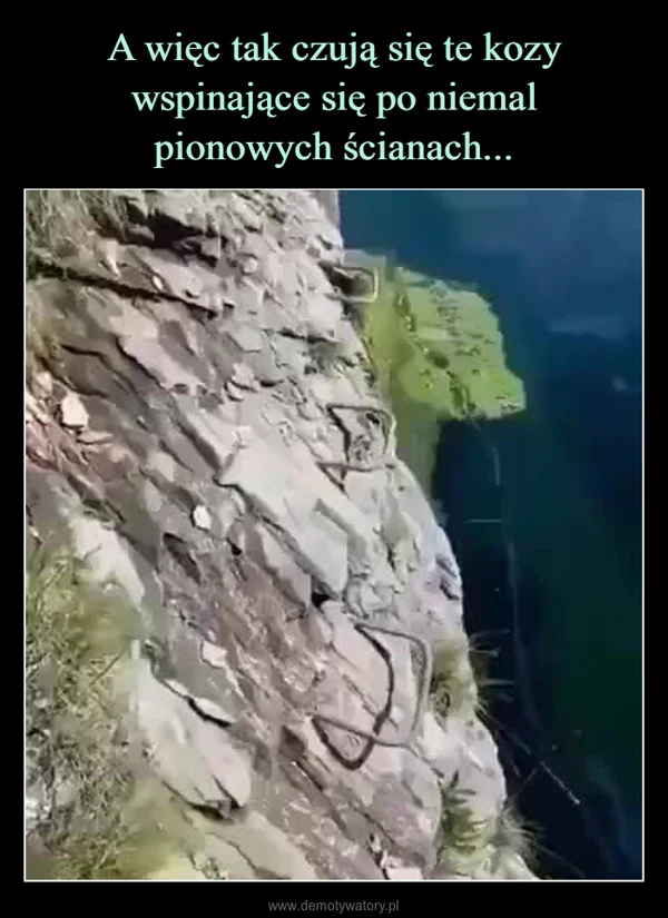 A więc tak czują się te kozy wspinające się po niemal pionowych ścianach...