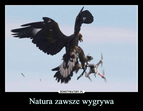 
    Natura zawsze wygrywa