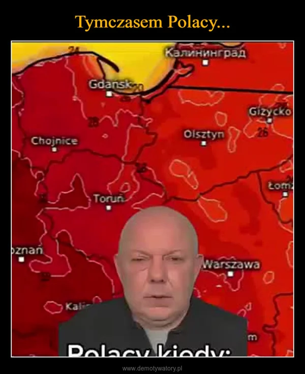 
    Tymczasem Polacy...