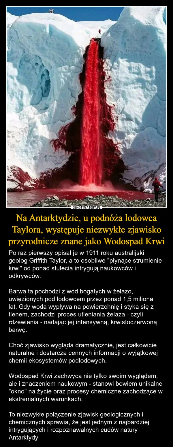 
    Na Antarktydzie, u podnóża lodowca Taylora, występuje niezwykłe zjawisko przyrodnicze znane jako Wodospad Krwi