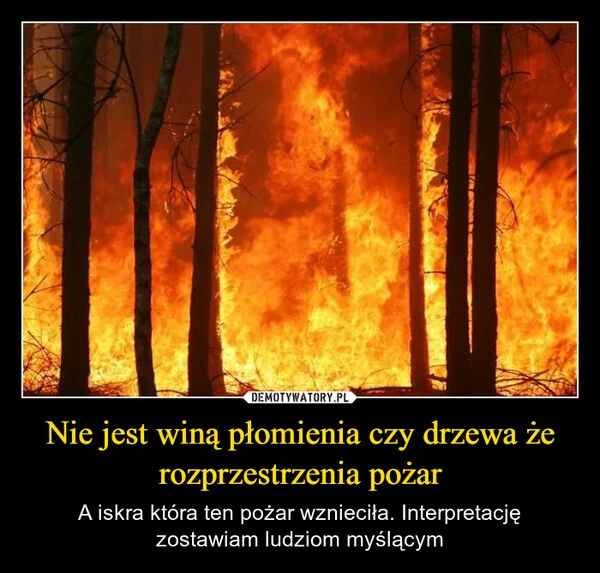 
    Nie jest winą płomienia czy drzewa że rozprzestrzenia pożar