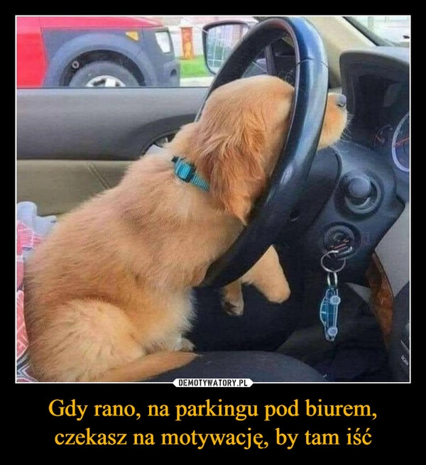 
    Gdy rano, na parkingu pod biurem, czekasz na motywację, by tam iść