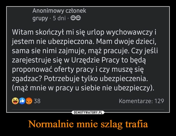 
    Normalnie mnie szlag trafia