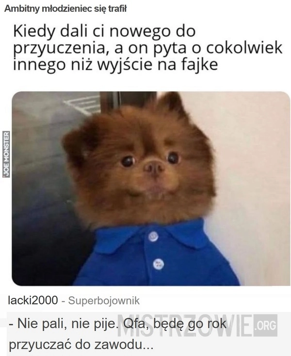
    Ambitny młodzieniec się trafił