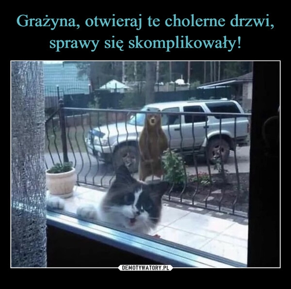 
    Grażyna, otwieraj te cholerne drzwi, sprawy się skomplikowały!