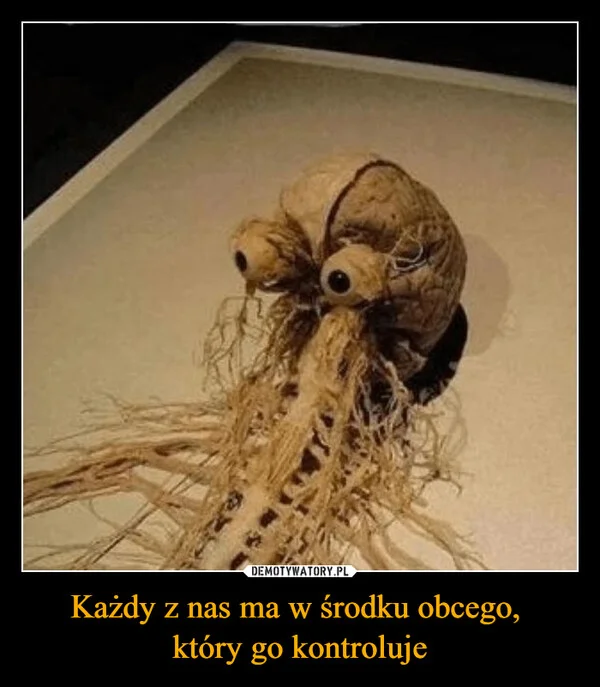 
    Każdy z nas ma w środku obcego, który go kontroluje