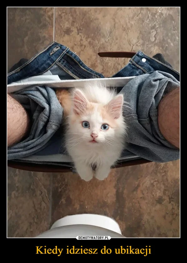 
    Kiedy idziesz do ubikacji