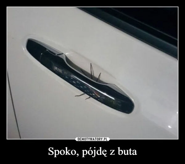 
    Spoko, pójdę z buta