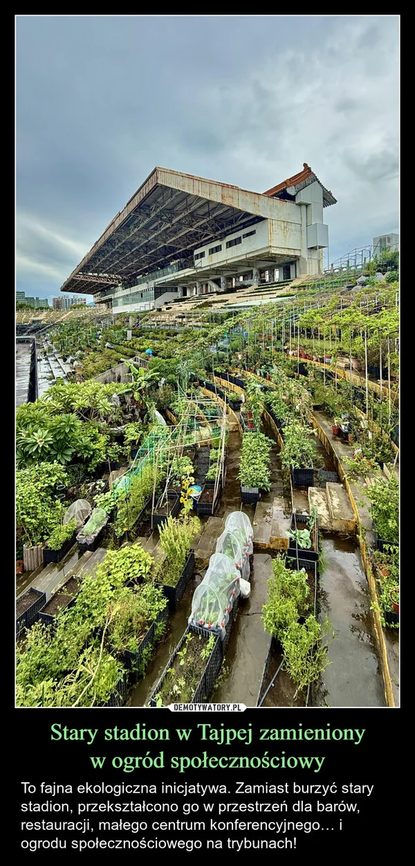 
    Stary stadion w Tajpej zamieniony w ogród społecznościowy