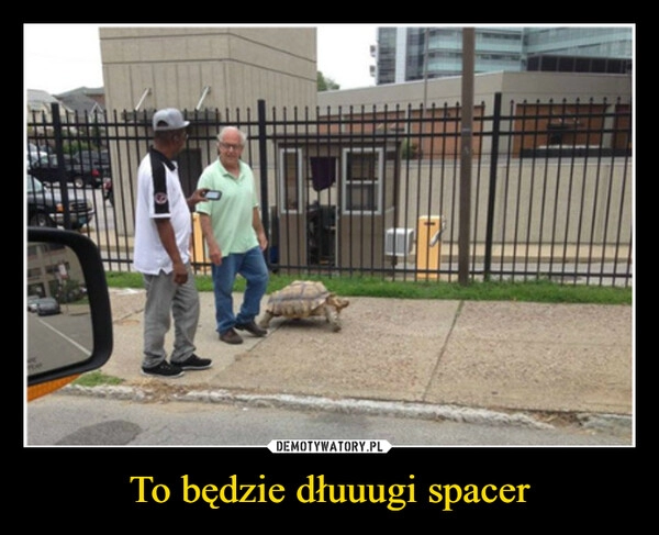 
    To będzie dłuuugi spacer