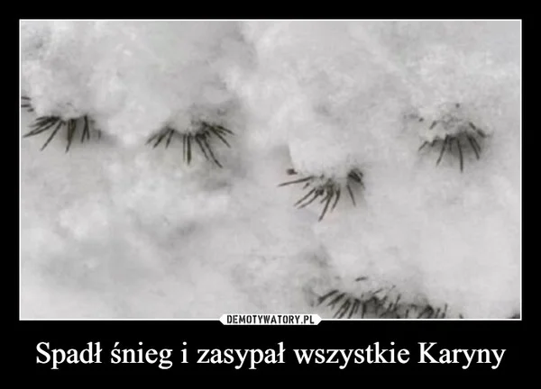 
    Spadł śnieg i zasypał wszystkie Karyny