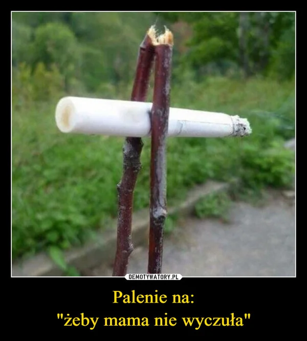
    Palenie na: 