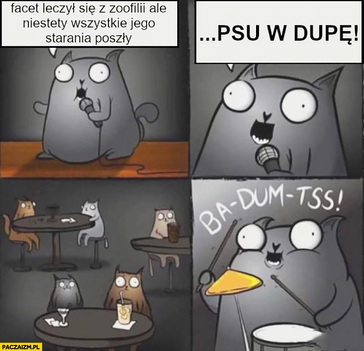 
    Facet leczył się z zoofilii ale niestety wszystkie jego starania poszły psu w dupę żart suchar stand up dla kotów